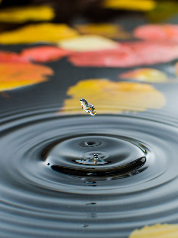 waterdruppel-800x600 Uitvaartzorg Ede - Rijksen Uitvaartzorg