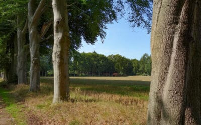 Begraafplaats Prattenburg